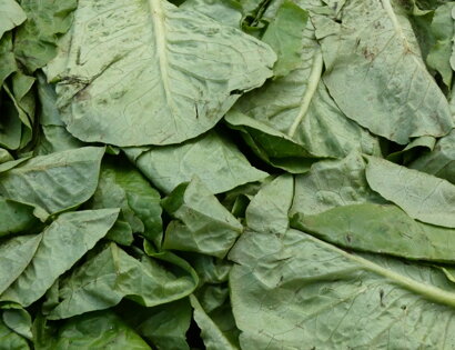 A Putia da Peppe contatti Biglietto da Visita On-Line Alimentari Frutta e Verdura Floridia