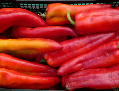 A Putia da Peppe contatti Biglietto da Visita On-Line Alimentari Frutta e Verdura Floridia