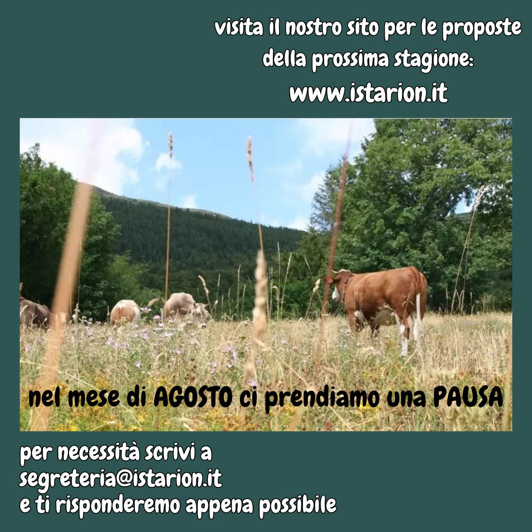 pausa-estiva-segreteria-2026.png