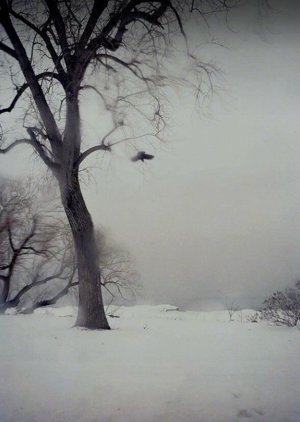 GENNAIO: LA SACRA DANZA DEL SILENZIO