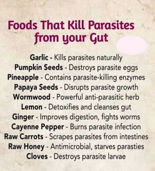 parasites-and-food.jpeg parasites-and-food.jpeg