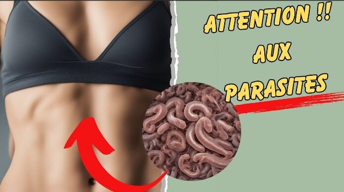 Les parasites peuvent être à l'origine de maladies graves. Les parasites peuvent être à l'origine de maladies graves.