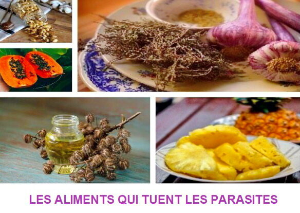 parasite-aliments.jpeg parasite-aliments.jpeg