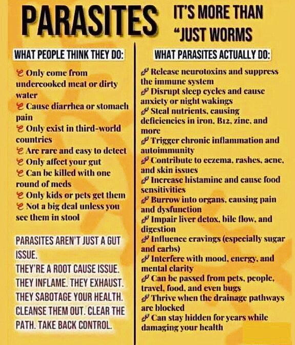 parasites-quotes-site-t-herbals.jpeg parasites-quotes-site-t-herbals.jpeg