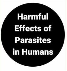 Parasites are the cause of serious diseases