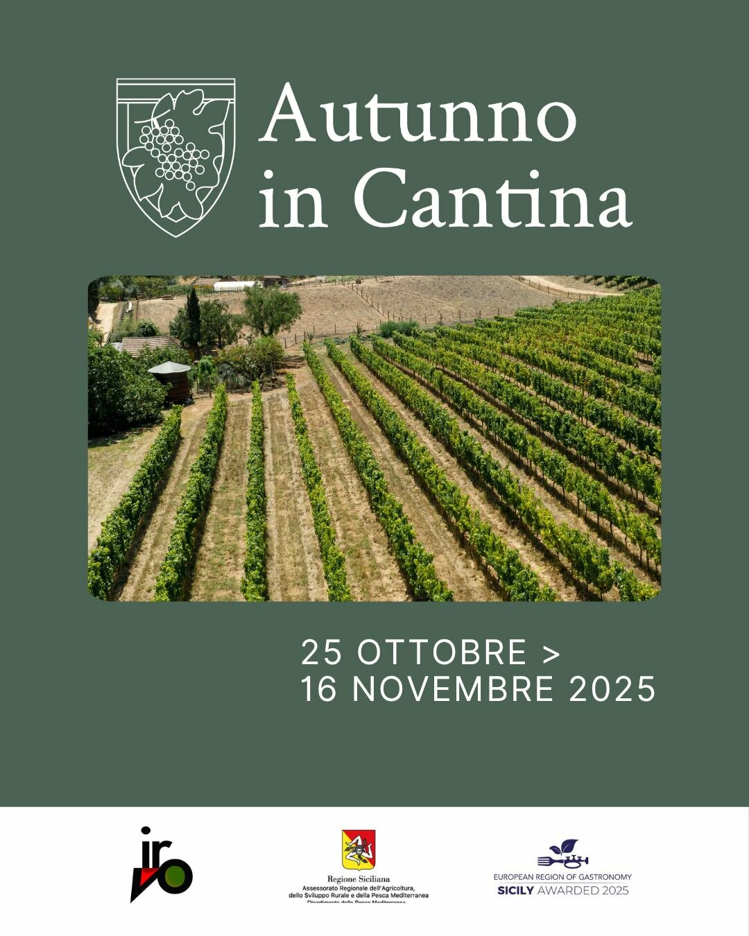 “Autunno in Cantina”: l’IRVO lancia un viaggio tra vino, arte e tradizione in otto tappe siciliane