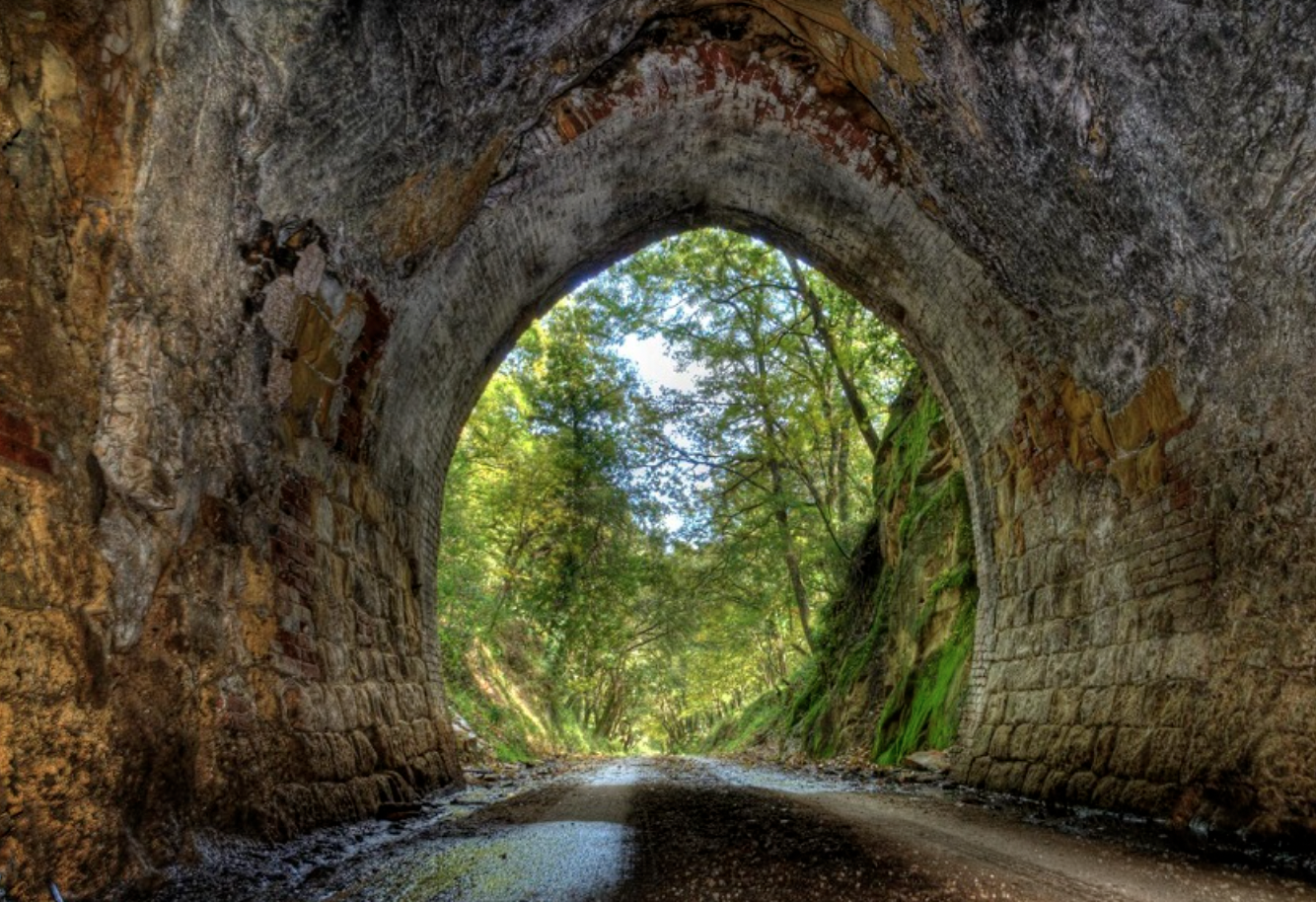 Bosco della Ficuzza: il cuore verde della Sicilia e la nuova rubrica domenicale di SudGusto