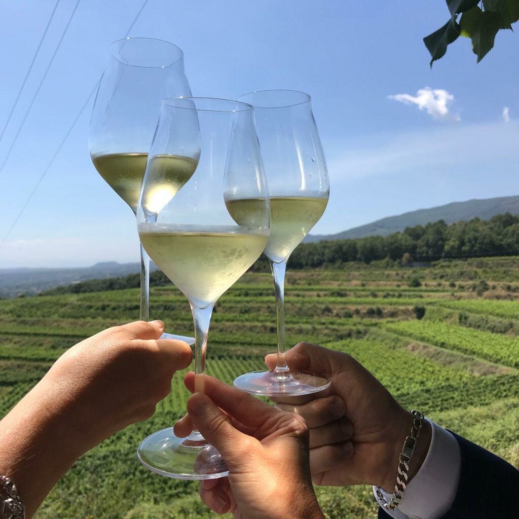 ViniMilo 2025, il fascino dei vini vulcanici: il 29 agosto parte la 45ª edizione