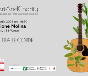 260411%20concerto%20molina%20varese%20(7)