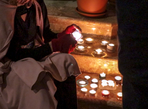 251220%20daverio%20stella%20splendens%20%20(24-2)