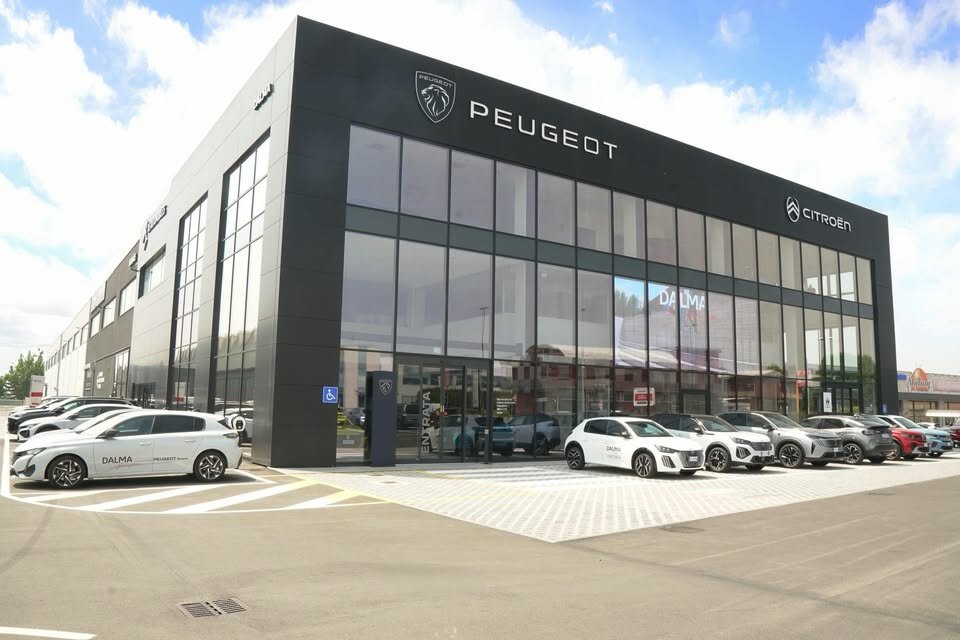 Dalma For You: condizioni dedicate agli amici di ARTandCHARITY Dalma For You: condizioni dedicate agli amici di ARTandCHARITY