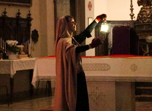 251220%20daverio%20stella%20splendens%20%20(28)