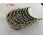 bronzine-biella-b-piu-025