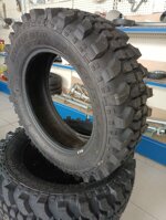 pneumatici-set-1758016-91s-collins