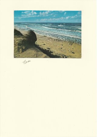 Sylt