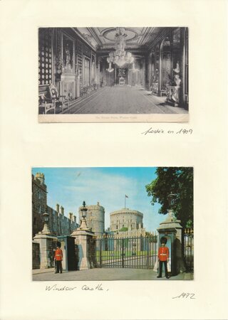windsor.jpeg