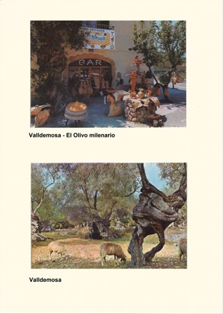 Mallorca - Valldemosa