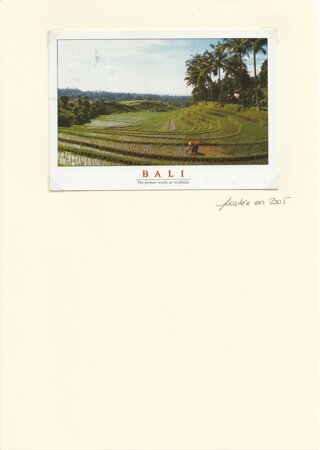 bali%20(2).jpeg