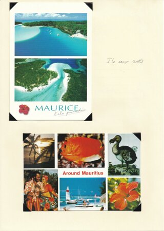 ile%20maurice%20(2).jpeg