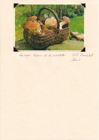 Amelot Amelot