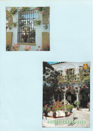 Cordoba