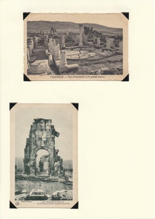 volubilis%20(2).jpeg