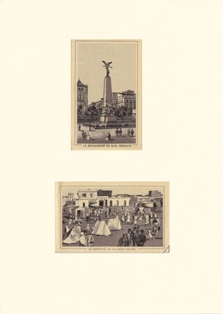 oran%20(4).jpeg