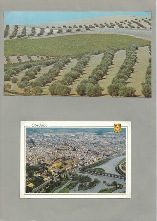 Cordoba