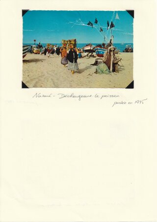 eyJmciI6Ik5hemFy6SAtIExlaXJpYSAtIFBvcnR1Z2FsIC0gRXVyb3BlIn0=