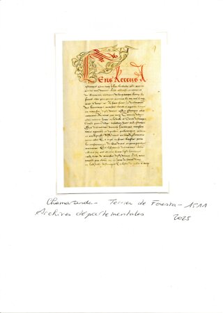 Chamarande - Essonne - Ile de France - France