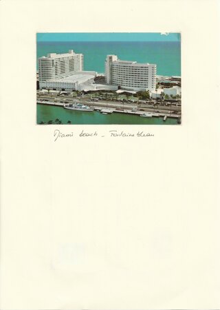 miami.jpeg