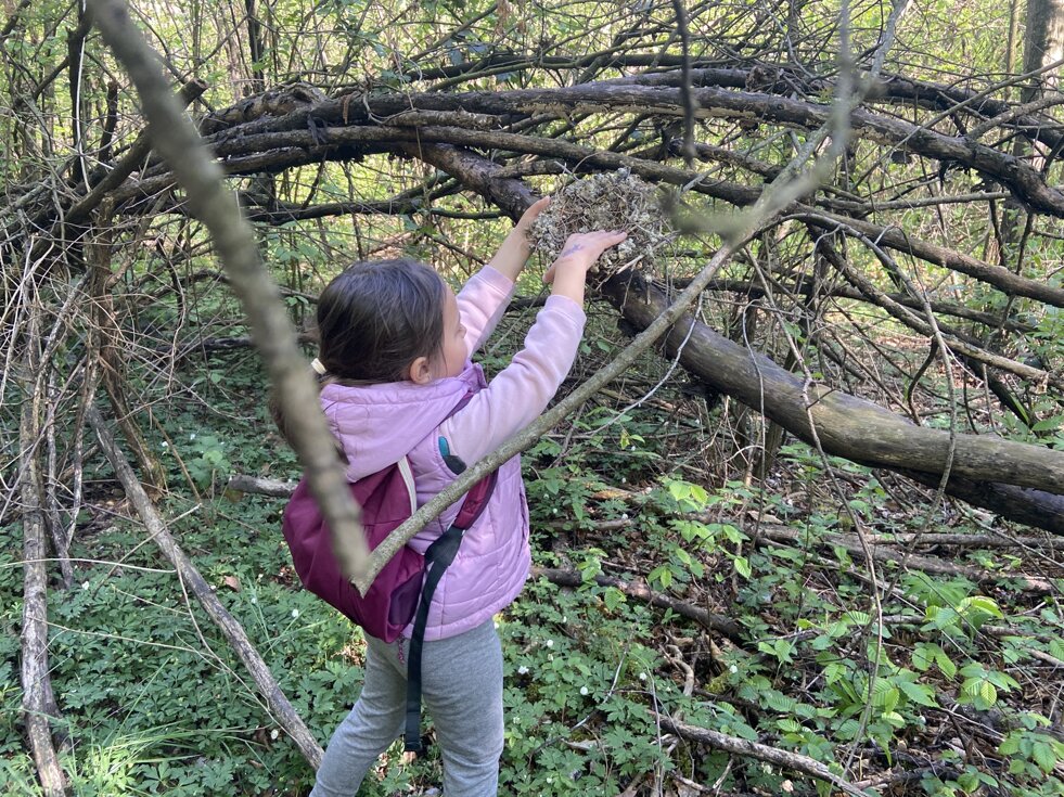 230419 educazione ambientale.jpeg