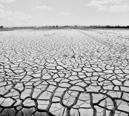 era_di_maggio_copertina.libro