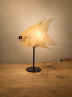 pesce-senza-filo
