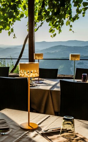 table-firefly-leaves