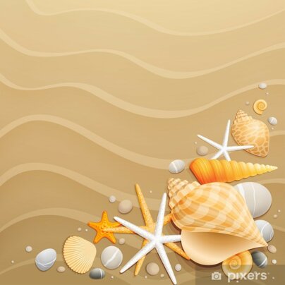 poster-conchiglie-e-stelle-marine-sulla-sabbia-sfondo.jpeg