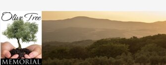 immagine 04-04-24 - 21.45.jpeg