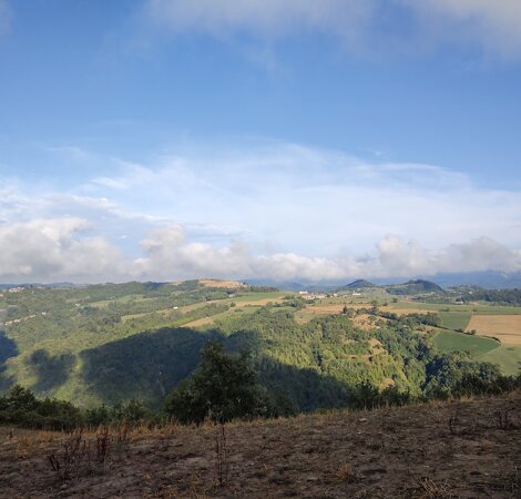 0316480ab8d08604bda9478a54bc75e4d192e9cd