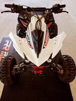 quad-viper-125cc-anno-2020