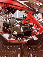 quad-tiger-cvm-125cc-anno-2025