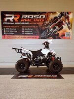 miniquad-profive-big-adventure-110cc-anno-2020
