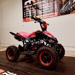 miniquad-drionbike-50cc-anno-2025