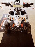 miniquad-profive-big-adventure-110cc-anno-2020