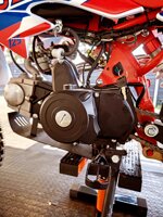 pit-bike-tiger-pro-125cc-anno-2026