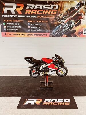 minimoto-gcm-50cc-anno-2025