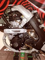 honda-crf-250cc-anno-2021