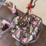 miniquad-drionbike-50cc-anno-2025