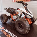 kayo-predator-110cc-anno-2018