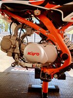 pit-bike-kayo-tt-125cc-anno-2022