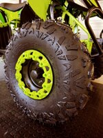 quad-orionbike-raptor-125cc-anno-2026